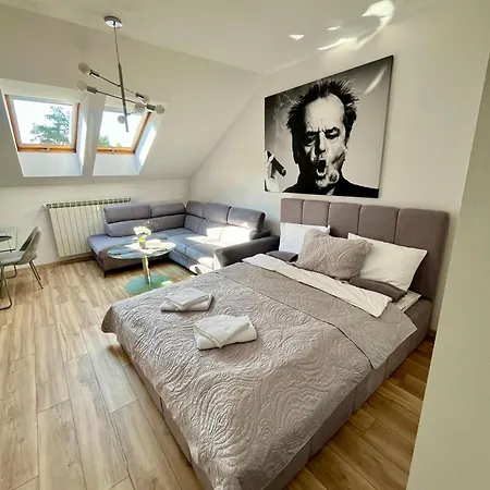 Litewska Vintage Appartement Cracovie