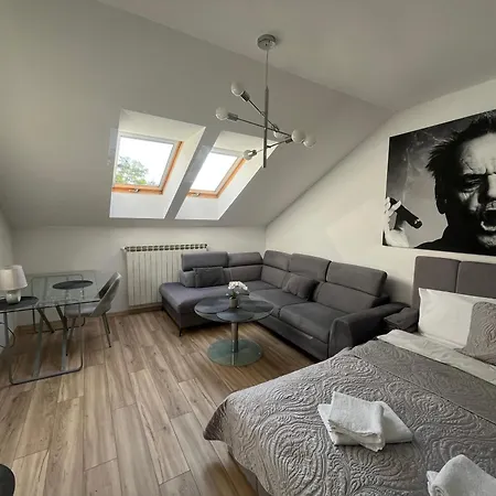 Appartement Litewska Vintage *