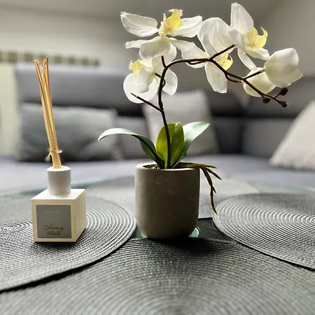 Appartement Litewska Vintage *